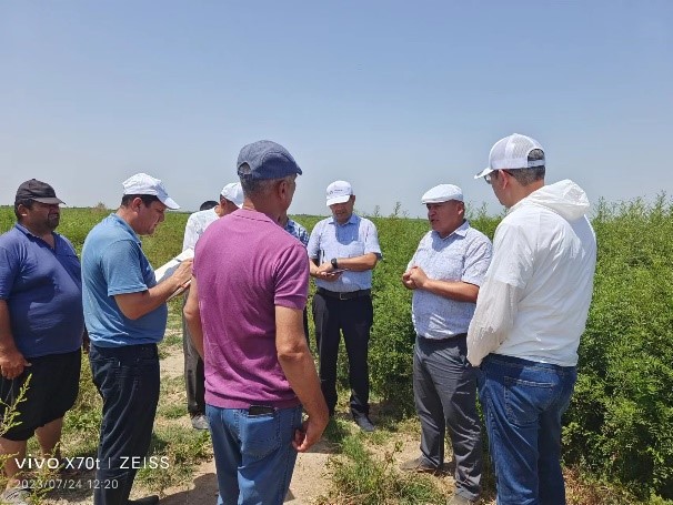 巨门生物代表受邀前往乌兹别克斯坦参加盐碱地种植勘探会议