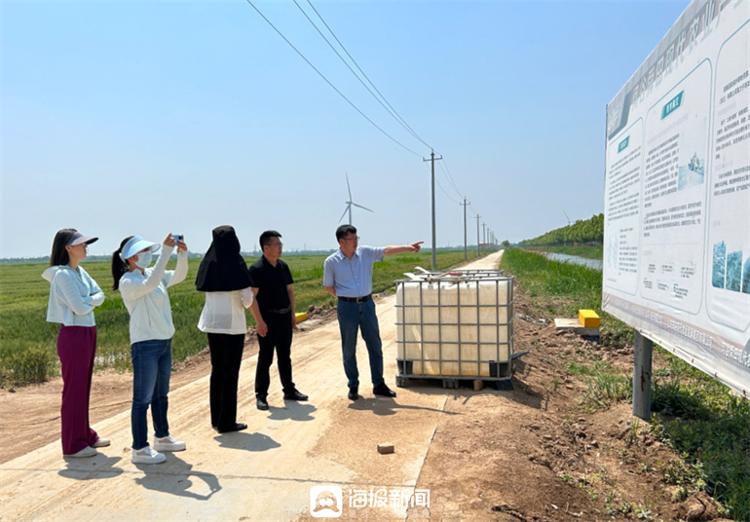 山东省生态修复中心到德州（庆云）调研盐碱地综合开发利用情况