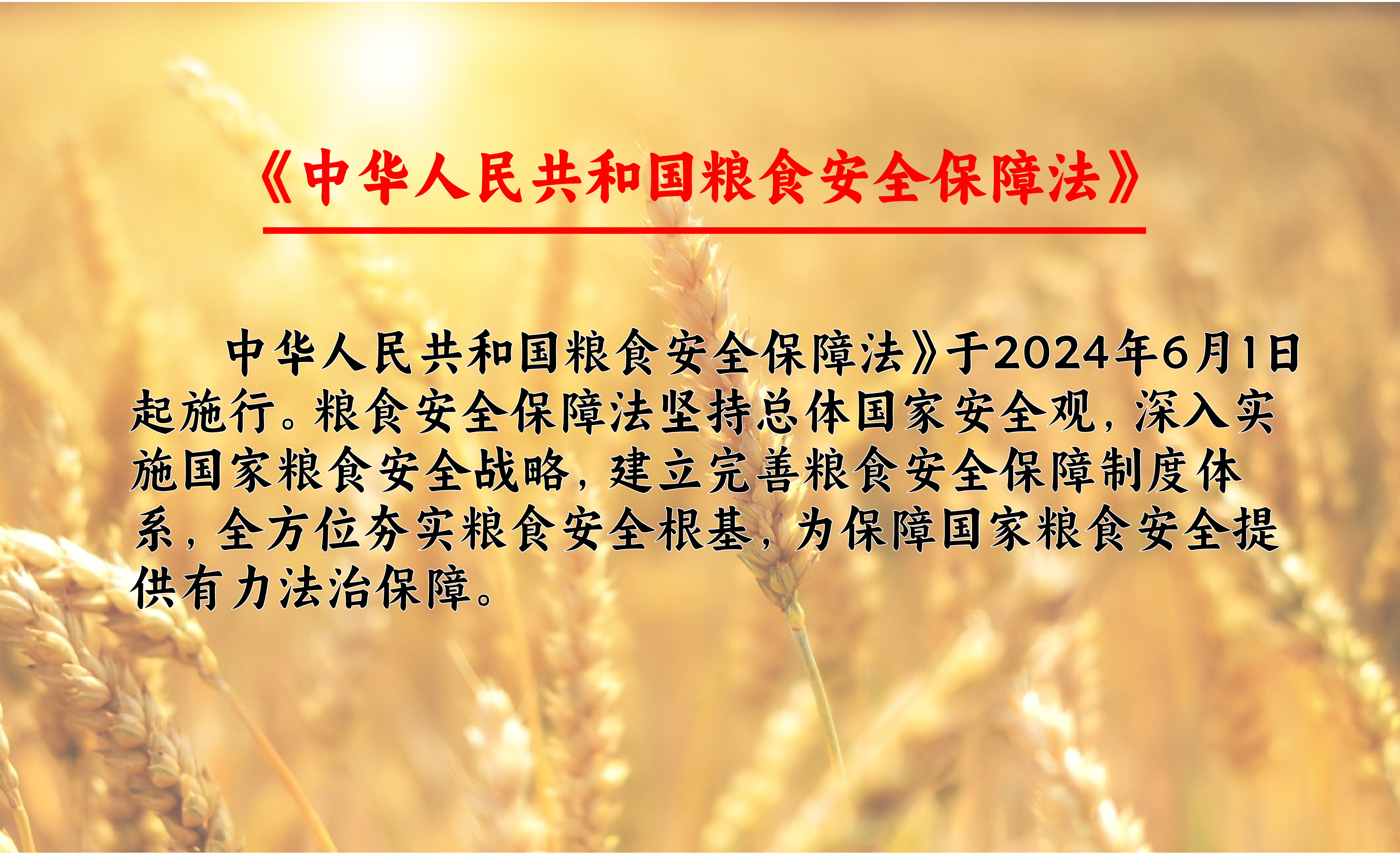 《中华人民共和国粮食安全保障法》6月1日正式施行